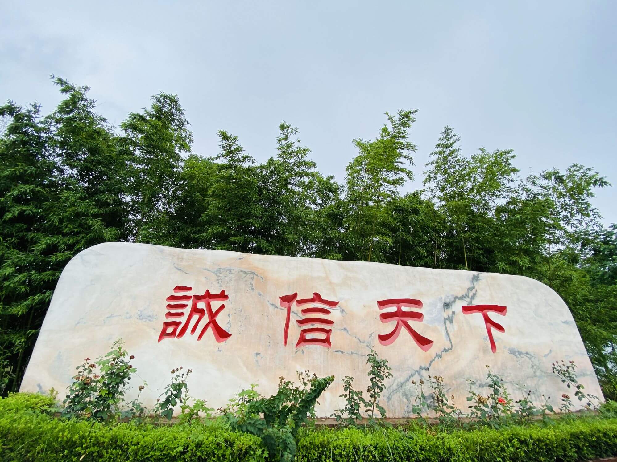 遠(yuǎn)大鍋爐參展廣交會圖三